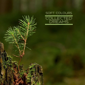 在线a久免费视频
